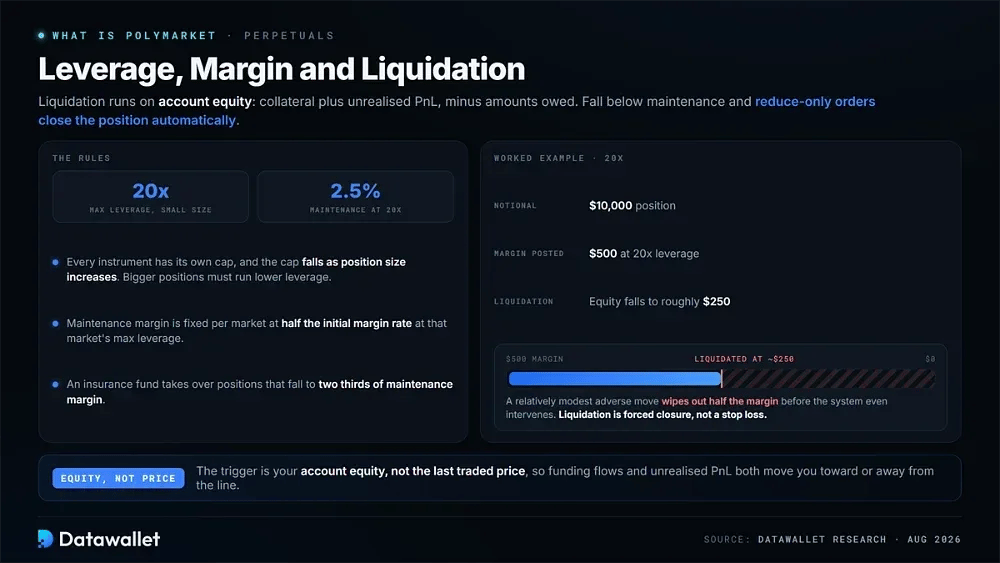 الرافعة المالية، الهامش وliquidation