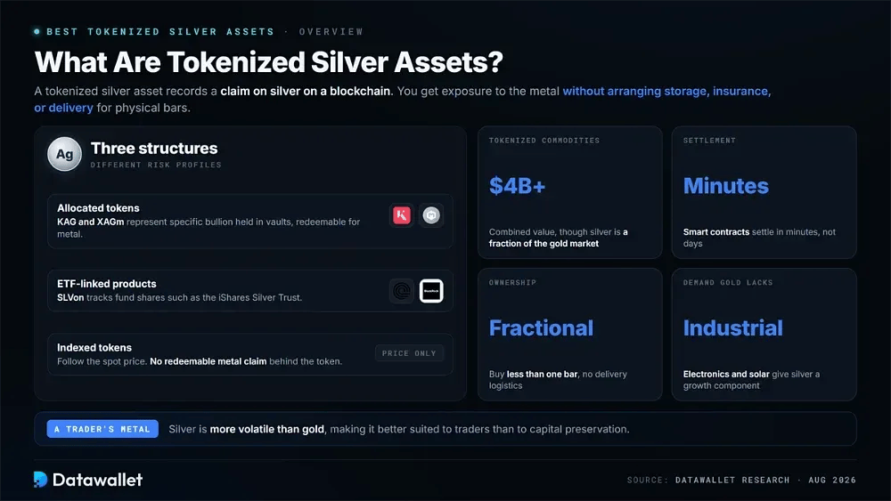What are Tokenized Silver Assets