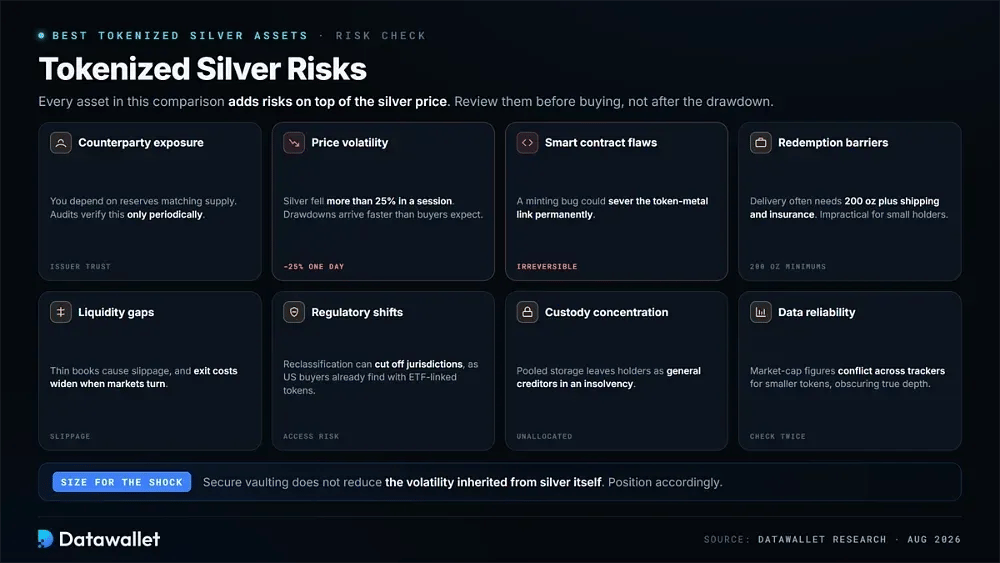 Tokenized Silver Assets Risks