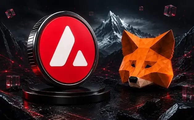 How to Add Avalanche to MetaMask (Mainnet & Testnet)