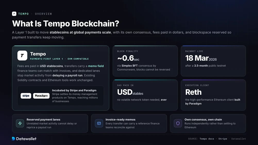 What Is Tempo Blockchain?