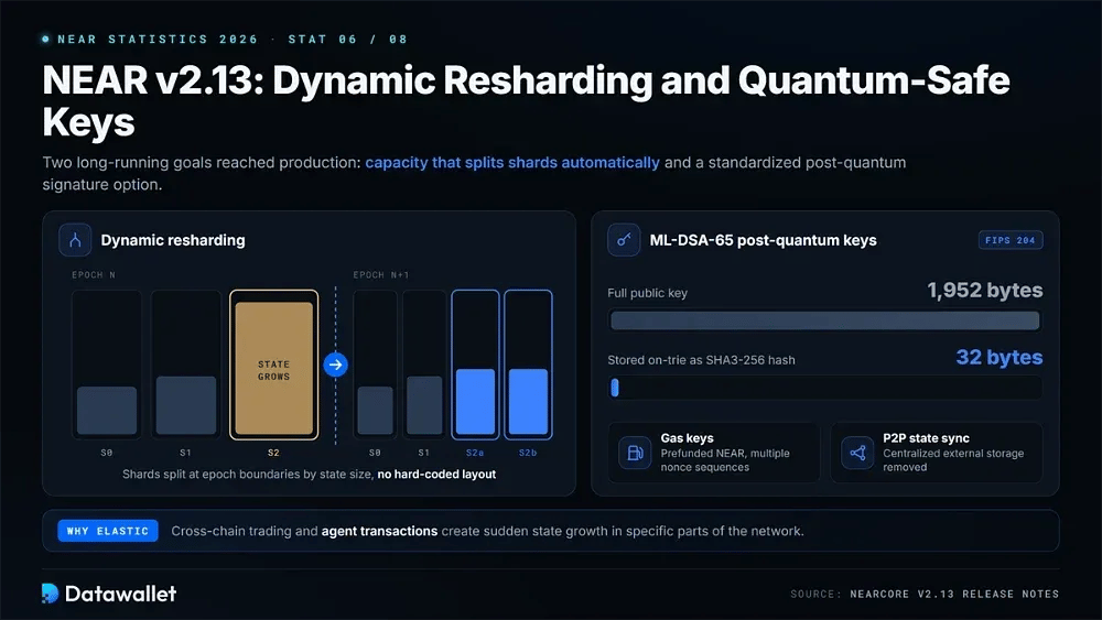 6. L'aggiornamento v2.13 ha introdotto il dynamic resharding e le chiavi resistenti ai computer quantistici