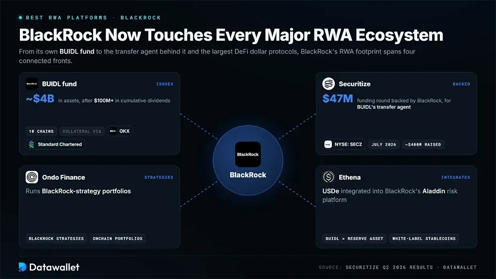 ما هي مشاريع RWA التي تستثمر فيها BlackRock