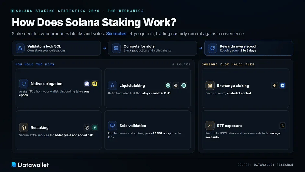 How Does Solana Staking Work