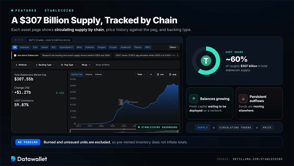 DefiLlama Stablecoins-Dashboard mit einem Gesamtangebot von 307 Milliarden USD und einem Anteil von USDT von etwa 60 %