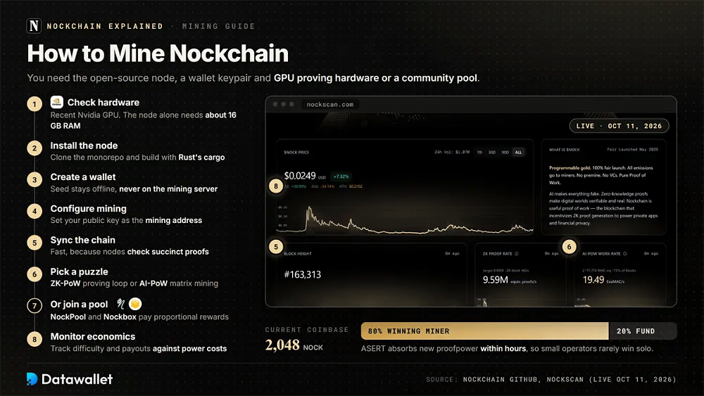 Eight steps to mine Nockchain beside the live Nockscan dashboard, with the 2,048 NOCK coinbase split 80% to the miner and 20% to the protocol fund