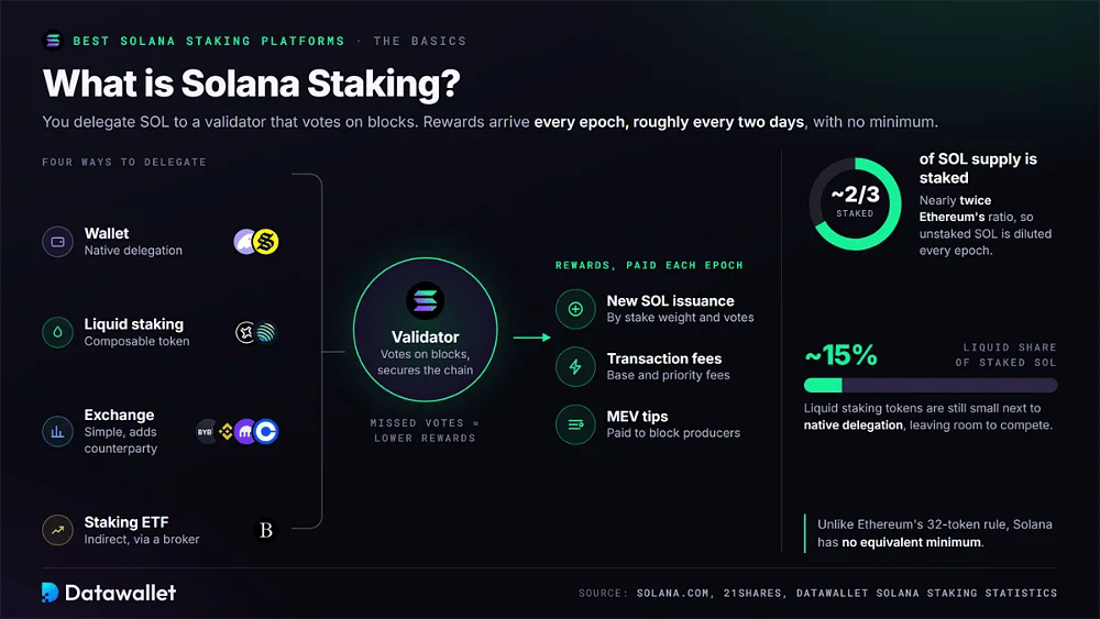 Схема движения staking в Solana от кошельков, ликвидного staking, бирж и ETF к валидатору и наградам за эпоху, при этом около двух третей SOL застейкано