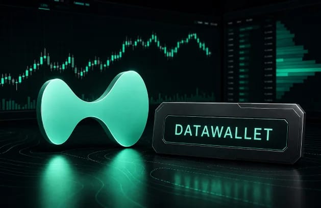 Hyperliquid Referral Code DATAWALLET: 4% Off Fees