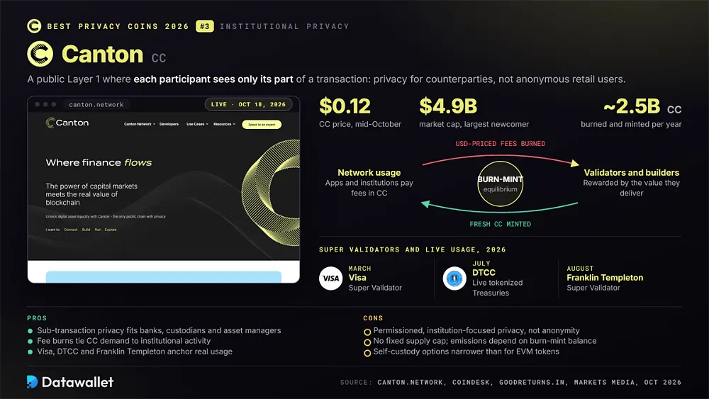 Canton Network site with CC at $0.12 and a $4.9B market cap, its burn-mint equilibrium of about 2.5B CC a year, and Visa, DTCC and Franklin Templeton
